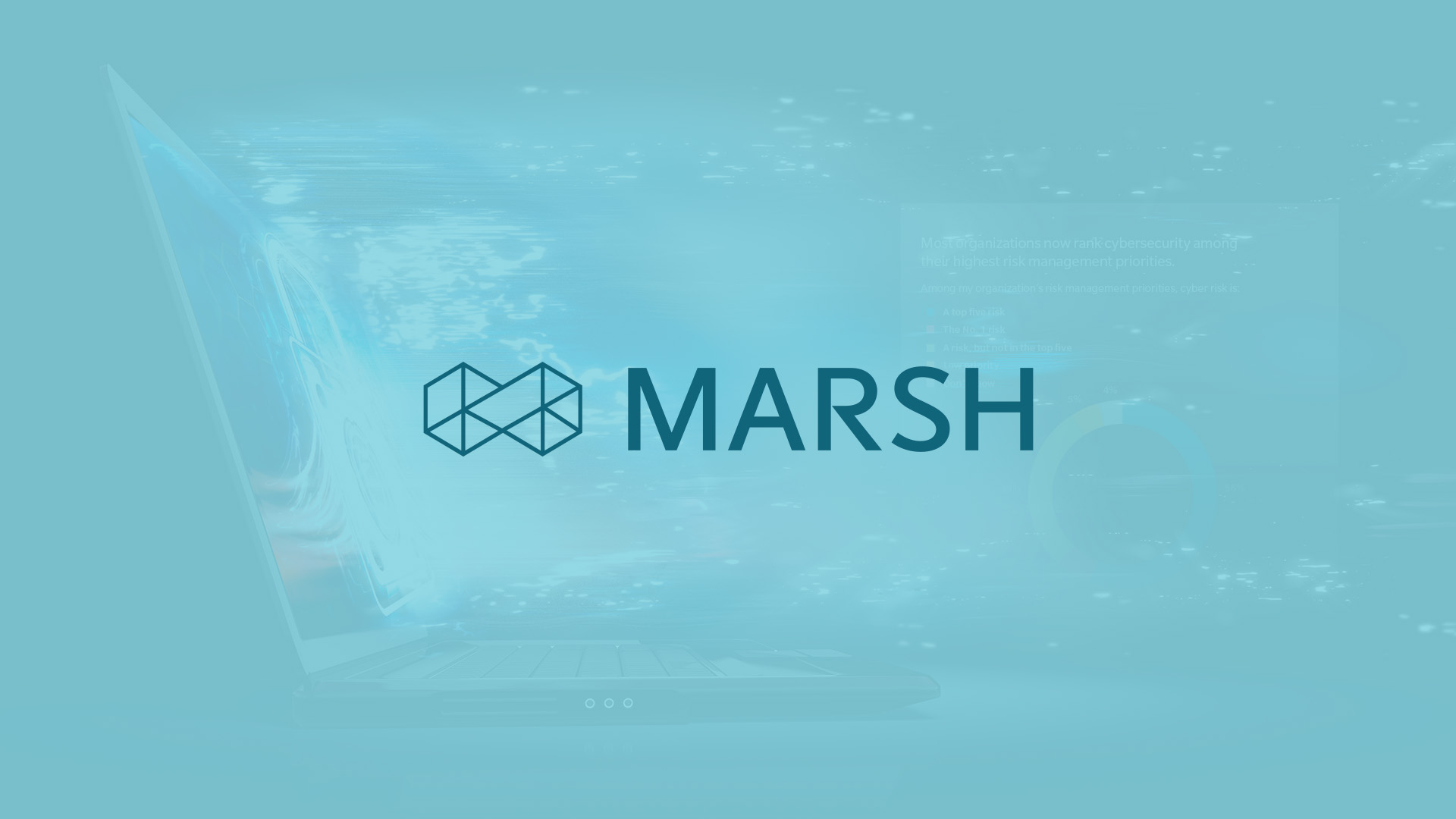 Marsh